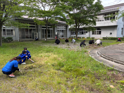奉仕作業 (41)